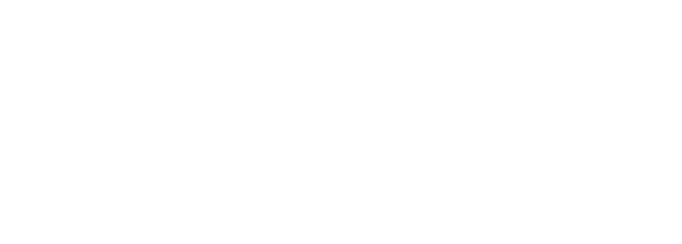 Simpex Holdings Logo